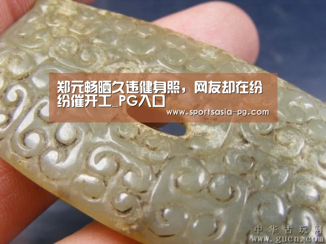 郑元畅晒久违健身照，网友却在纷纷催开工_PG入口