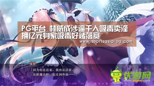 PG视讯