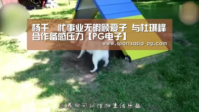 杨千嬅忙事业无暇顾爱子 与杜琪峰合作备感压力【PG电子】(图1) PG视讯