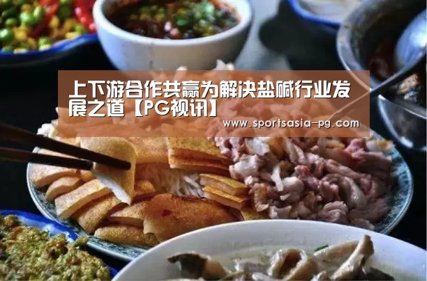 上下游合作共赢为解决盐碱行业发展之道【PG视讯】(图1) PG视讯