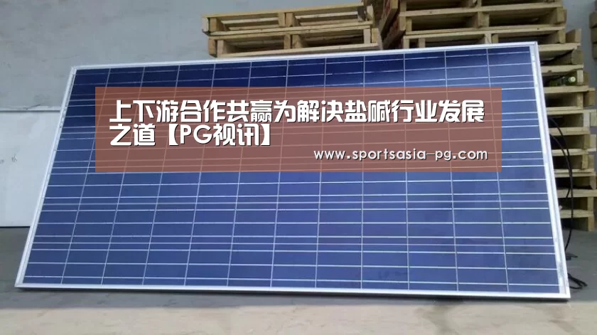 上下游合作共赢为解决盐碱行业发展之道【PG视讯】(图2) PG平台