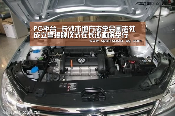 PG平台-长沙市地方志学会画志社成立暨揭牌仪式在长沙画院举行(图3) PG视讯