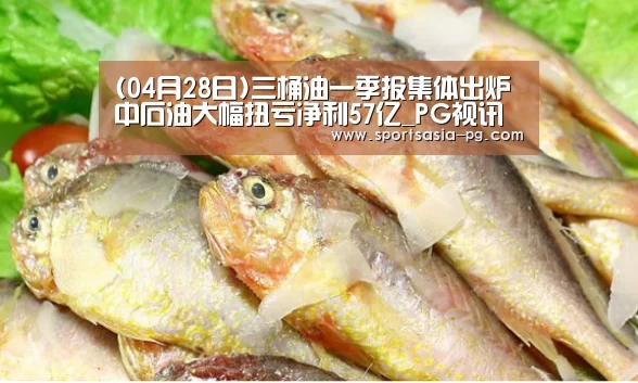 (04月28日)三桶油一季报集体出炉中石油大幅扭亏净利57亿_PG视讯(图2) PG视讯
